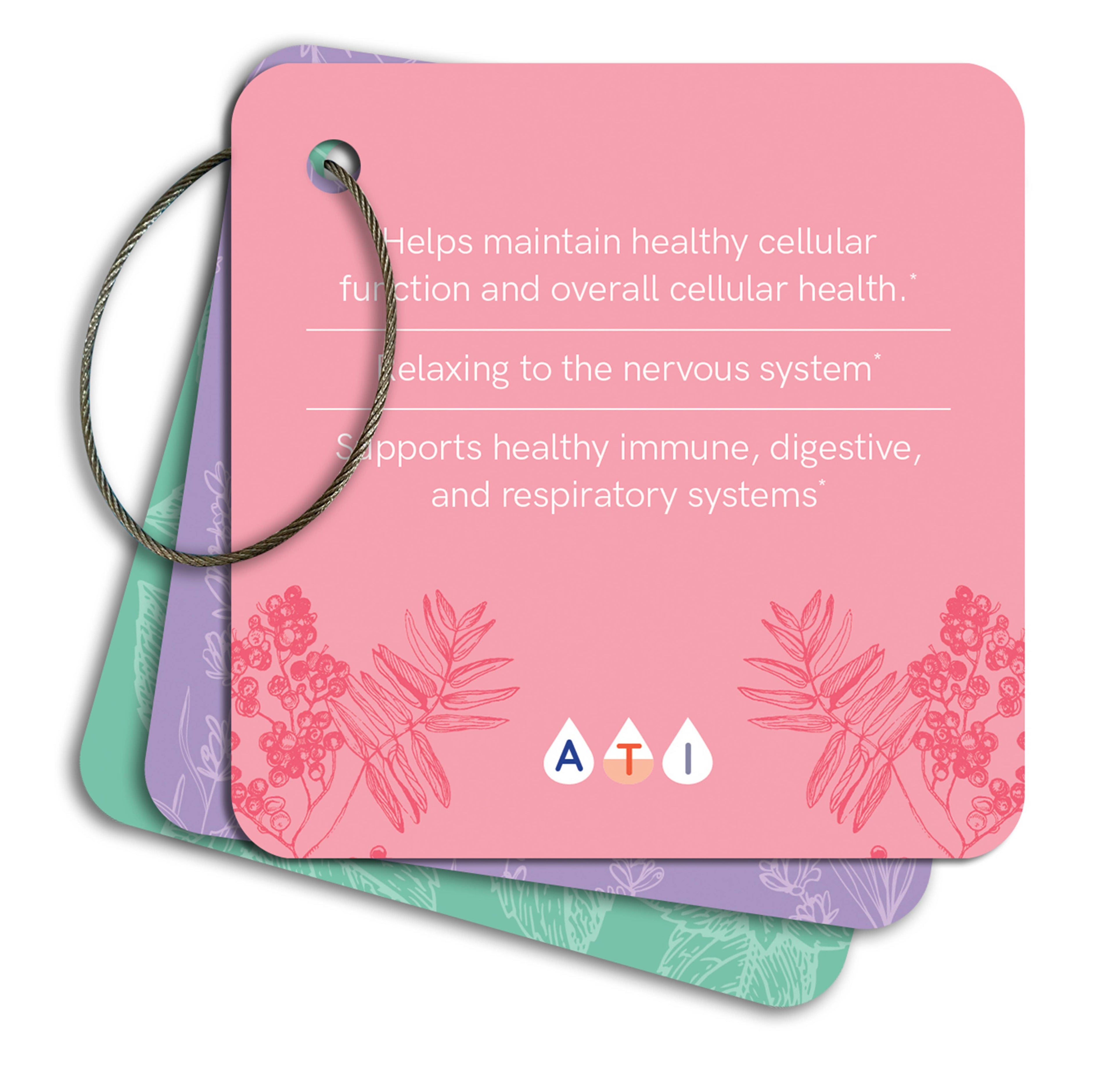 Essential Oil Wellness Cards (61 Cards with Ring Hold)