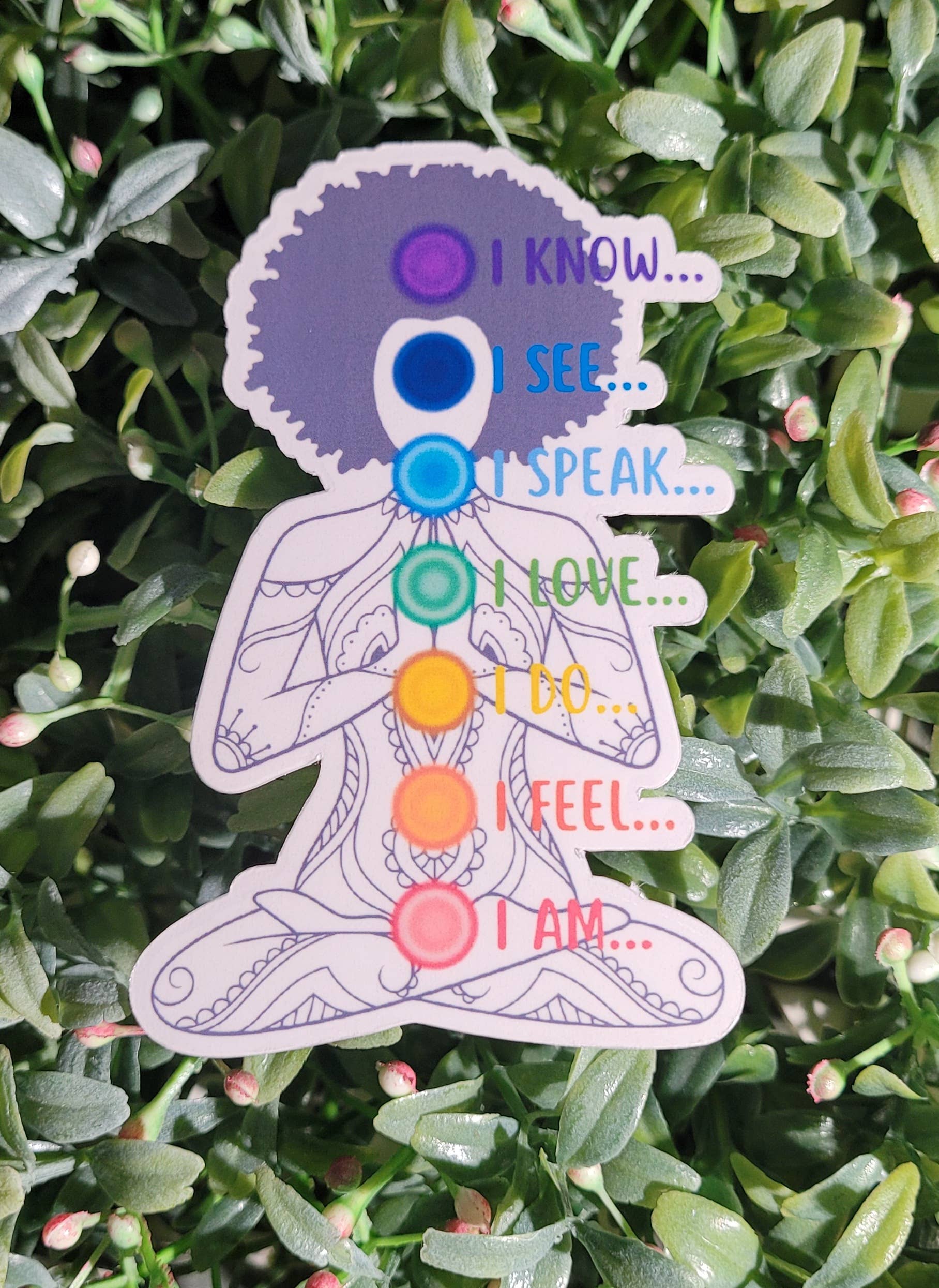 Chakra Women Transparent Sticker