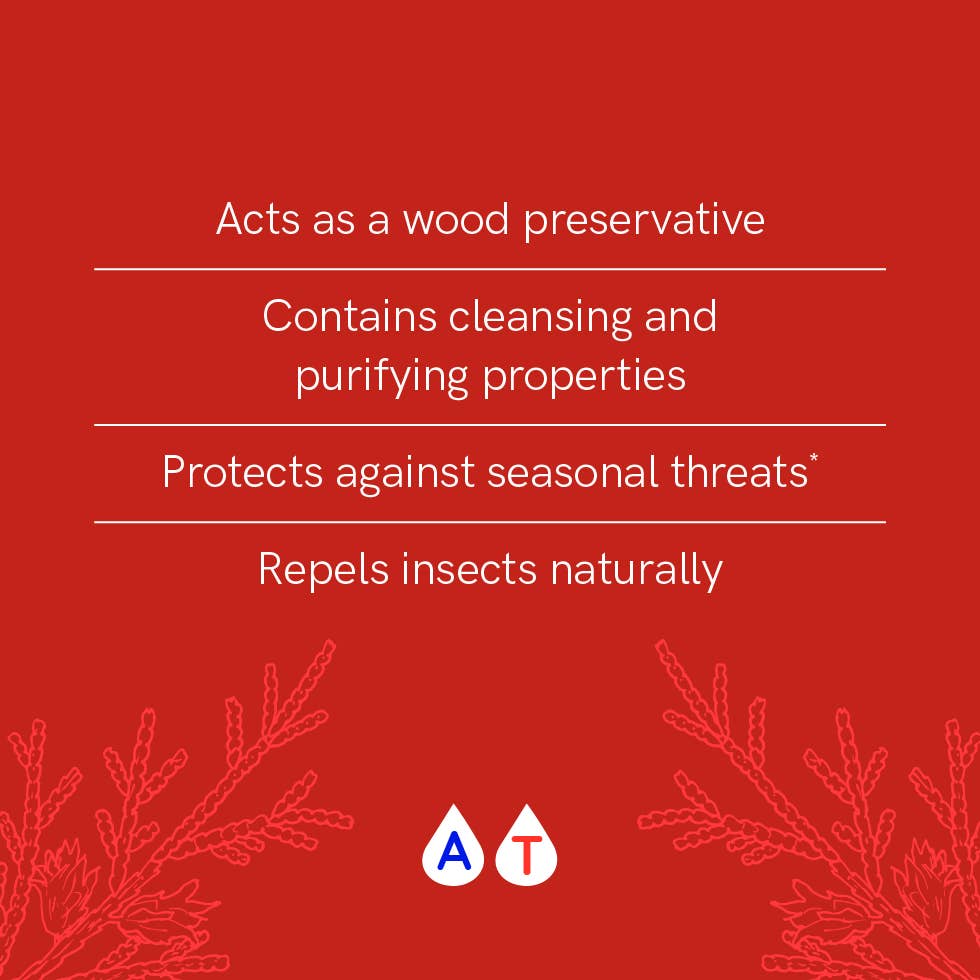 Essential Oil Wellness Cards (61 Cards with Ring Hold)