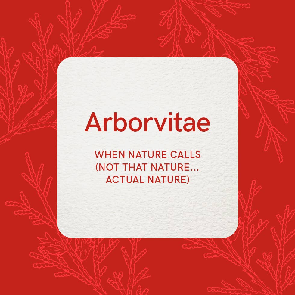 Essential Oil Wellness Cards (61 Cards with Ring Hold)